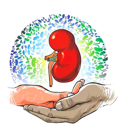 Get A Genetic Testing for Kidney Disease in India